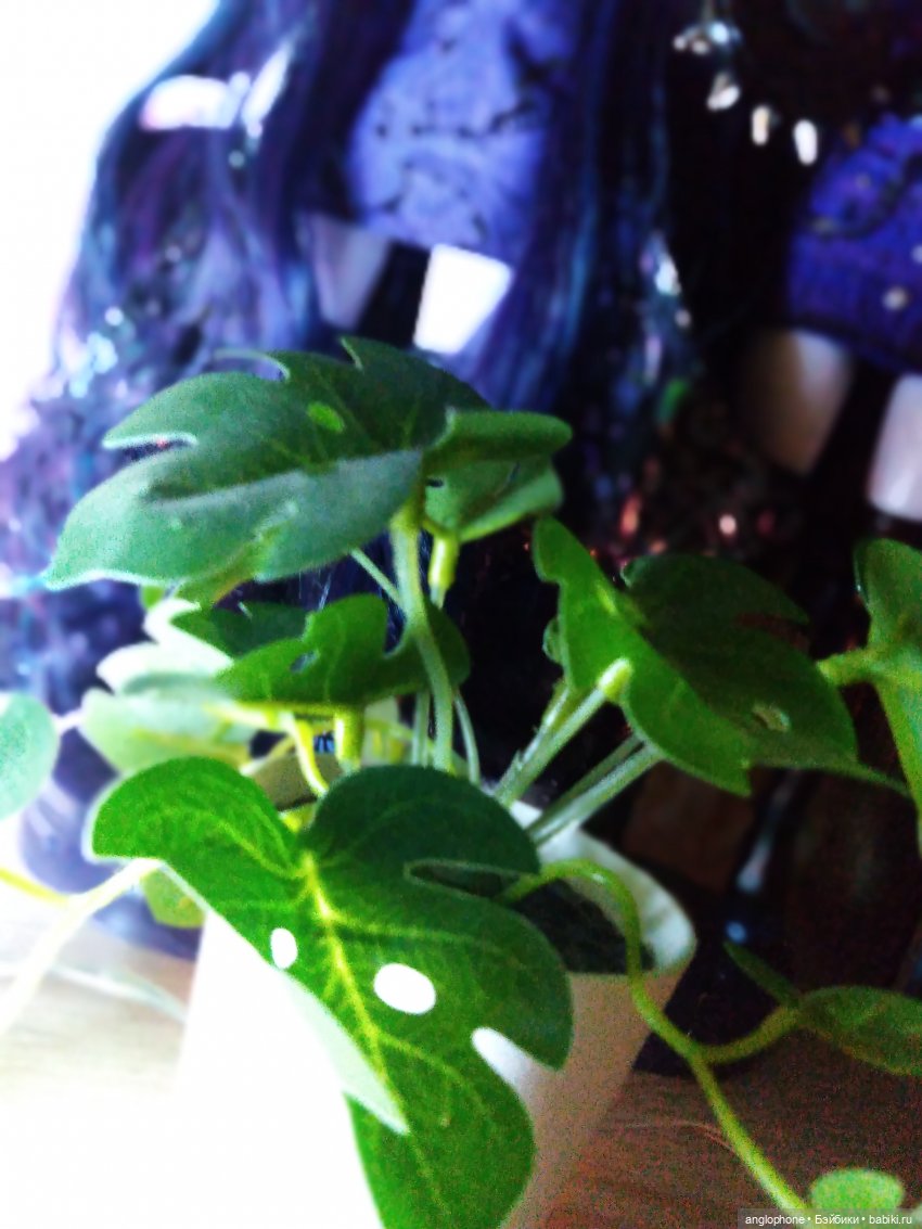 Новенькие — Куклы Rainbow High (Рейнбоу Хай