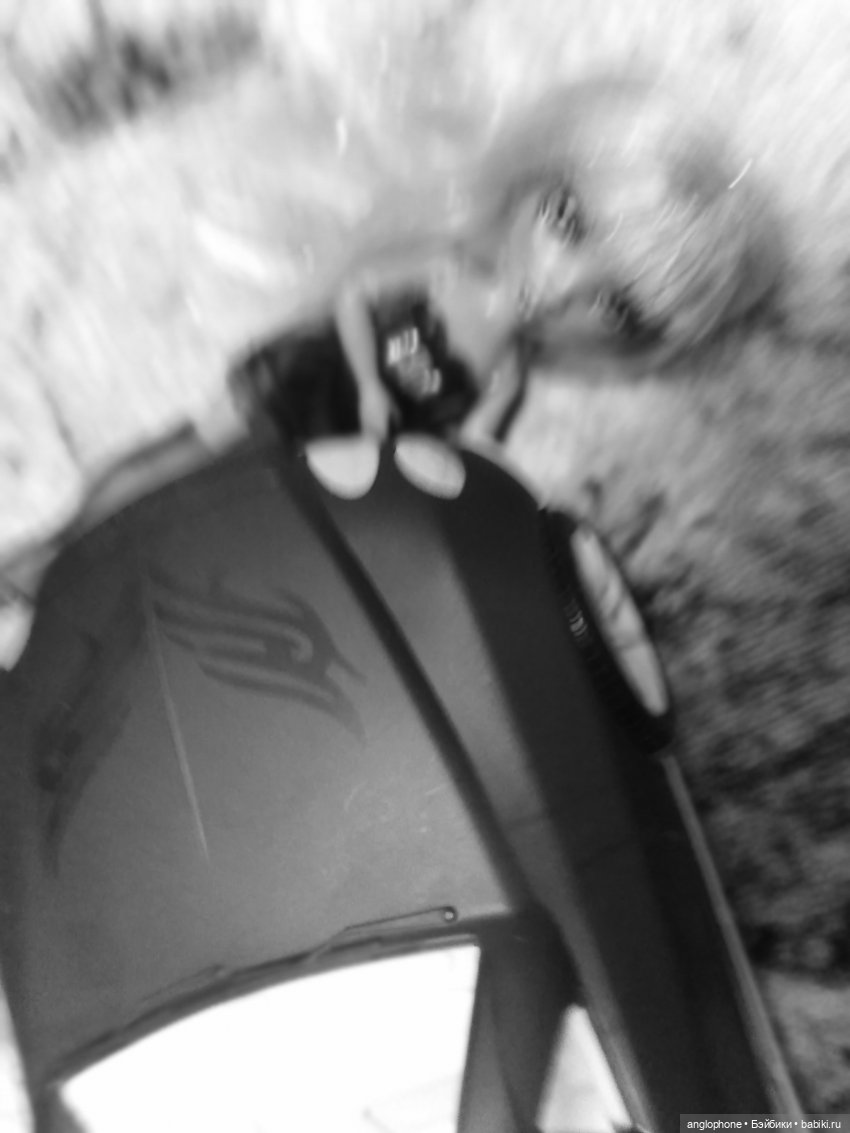 Новые рестайлы | Бэйбики Новые рестайлы — Куклы Rainbow High (Рейнбоу Хай