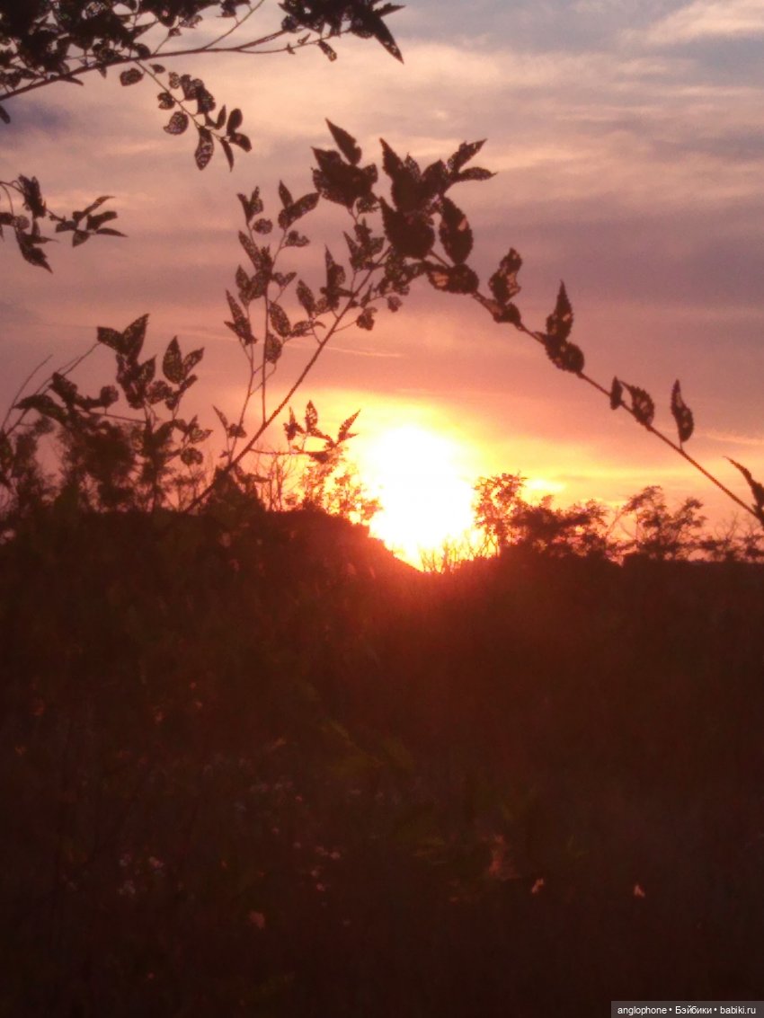 Гуляем с Дави и новенькой