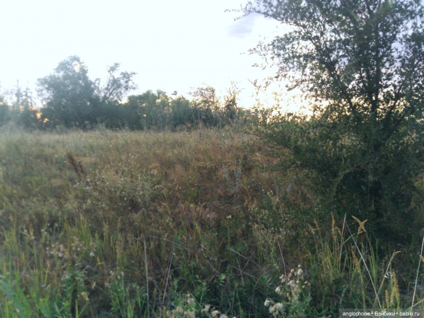 Мисс Натали — Куклы Rainbow High (Рейнбоу Хай