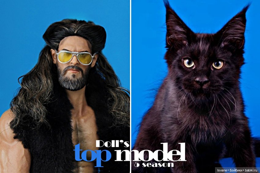 Моя коллекция. Кукольные мужчины: Габриэль Гарсия Мендес (Aquaman Jason Momoa Head Sculpt) и пятый сезон конкурса DOLL'S TOP