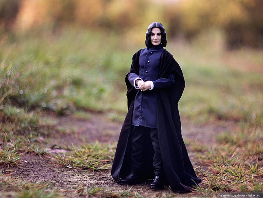 Моя коллекция. Кукольные мужчины: Самаэль Рец (Harry Potter Severus Snape Mattel) (фото 9)