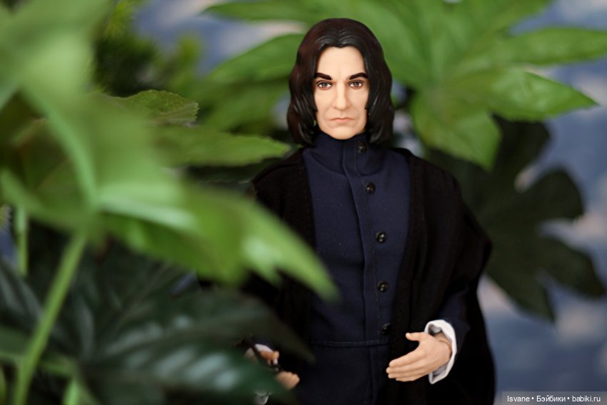 Моя коллекция. Кукольные мужчины: Самаэль Рец (Harry Potter Severus Snape Mattel)