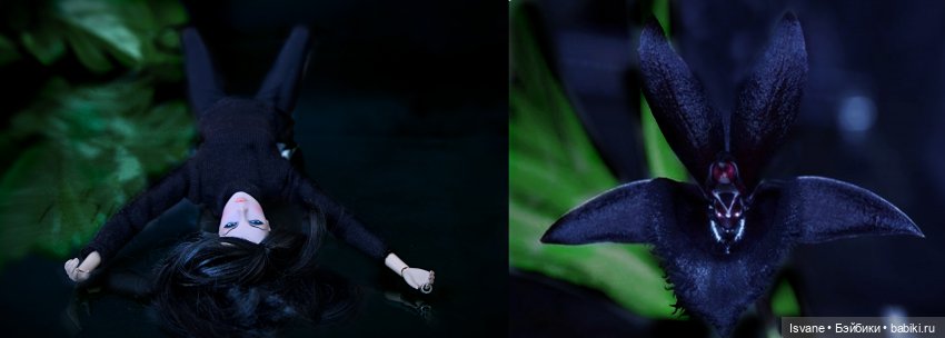 Моя коллекция. Integrity Toys. Беатричче - Lilith «Never Ordinary»