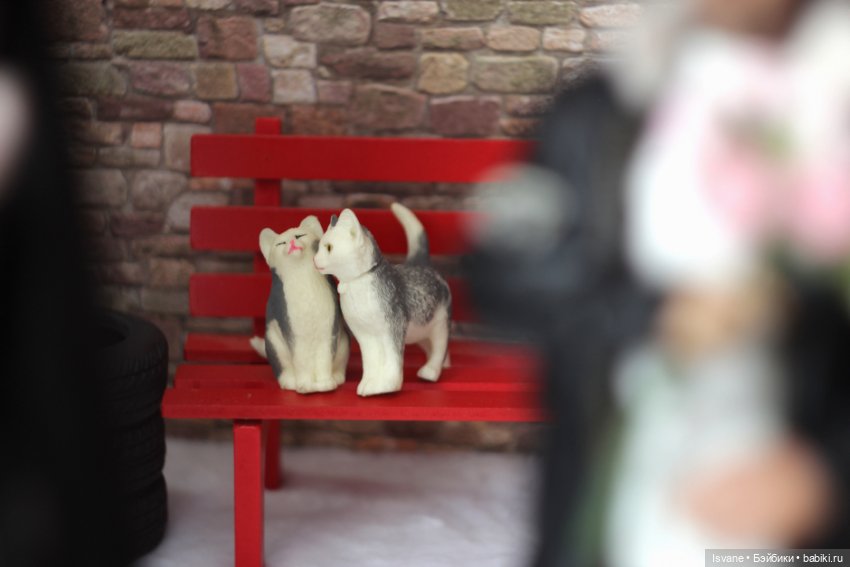 Мои фото проекты: Календарь: Чисто Мужской Март ❄🌹❄ (фото 6)