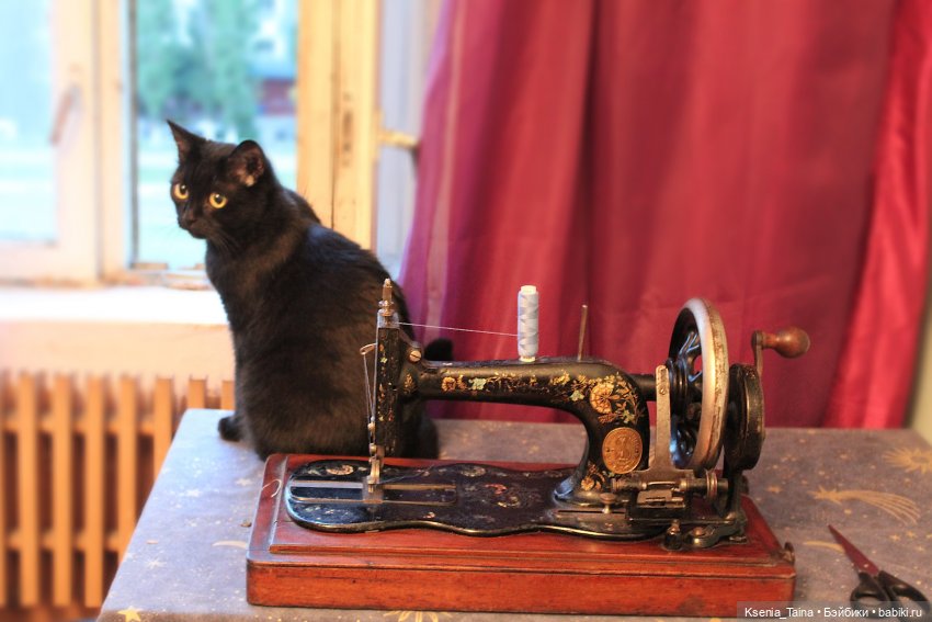 Общие увлечения — Фэшн