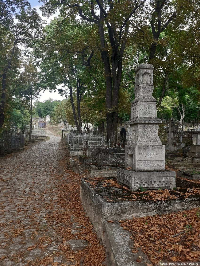 Общие увлечения — Фэшн