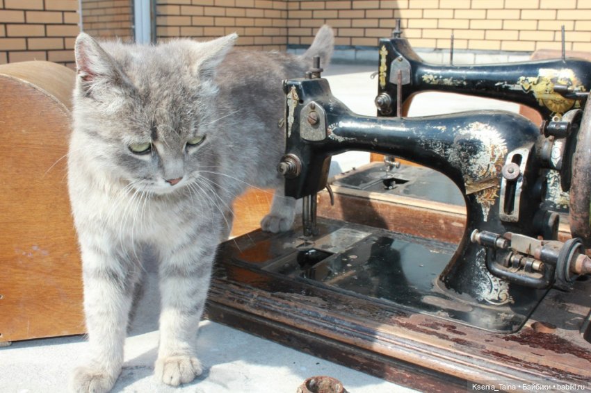 Общие увлечения — Фэшн