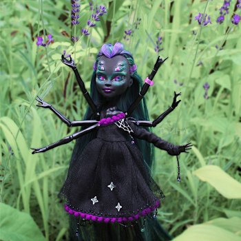 Травяной паук.