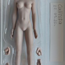 Продам шарнирные тело Phicen suntan