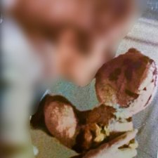 Разыскивается желтый тигр! Отличительная черта- большие белые лапы.