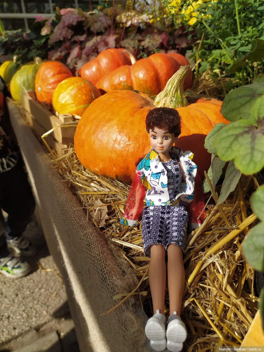 Кристи и выставка тыкв — Игровые куклы разных производителей (Разное): редкие бренды (фото 3)