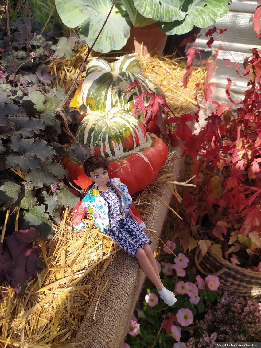 Кристи и выставка тыкв — Игровые куклы разных производителей (Разное): редкие бренды (фото 4)