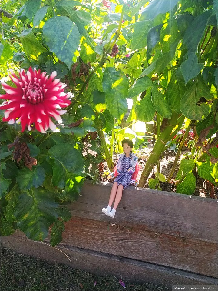 Кристи и выставка тыкв — Игровые куклы разных производителей (Разное): редкие бренды (фото 5)