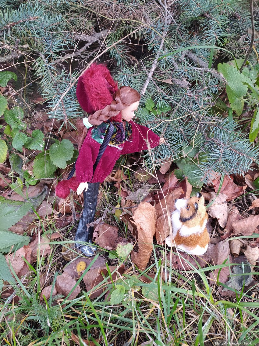 Танюша на прогулке — Аналоги Барби и куклы 1/6: клоны 90 (фото 4)