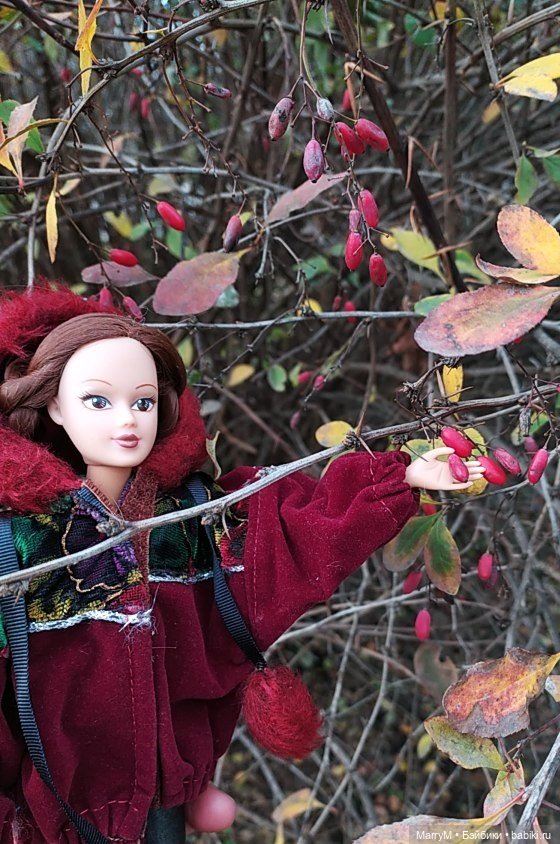 Танюша на прогулке — Аналоги Барби и куклы 1/6: клоны 90 (фото 2)