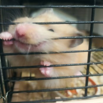 Мой виш-лист на 2024 год