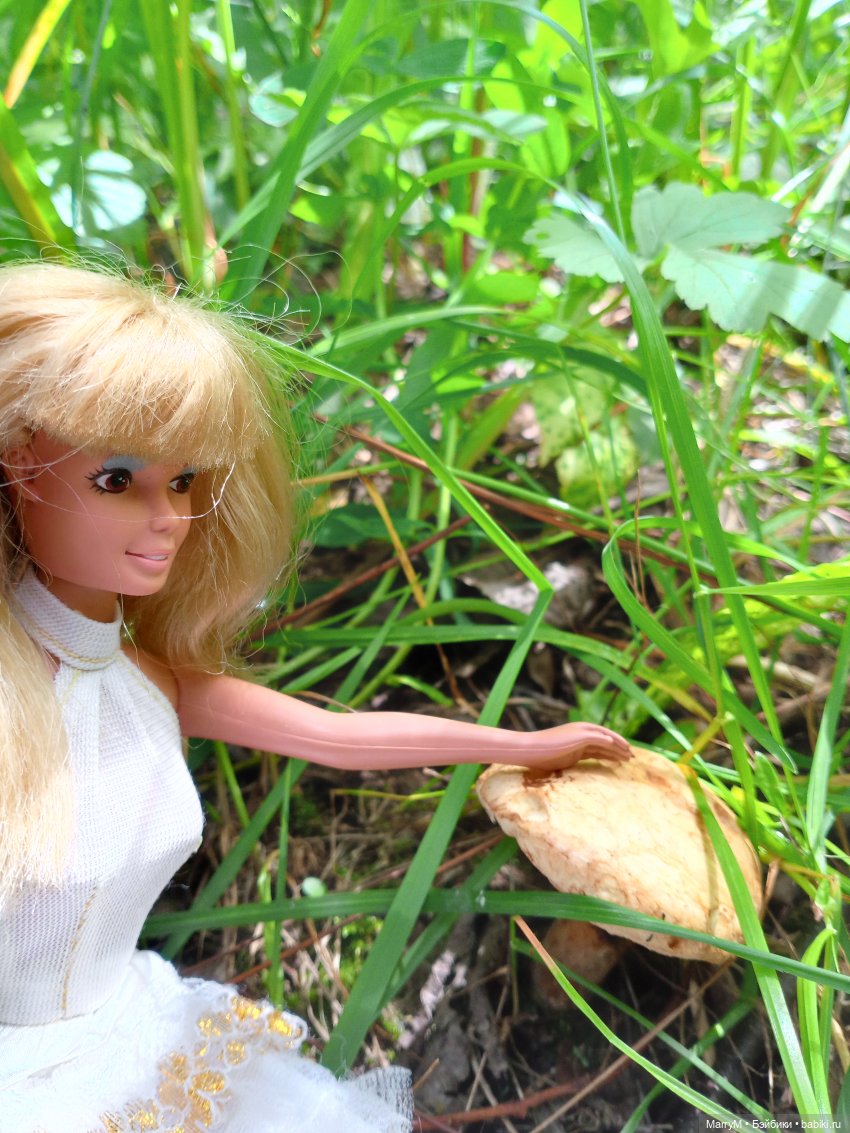 Две Кариночки — Аналоги Барби и куклы 1/6: клоны 90 (фото 10)