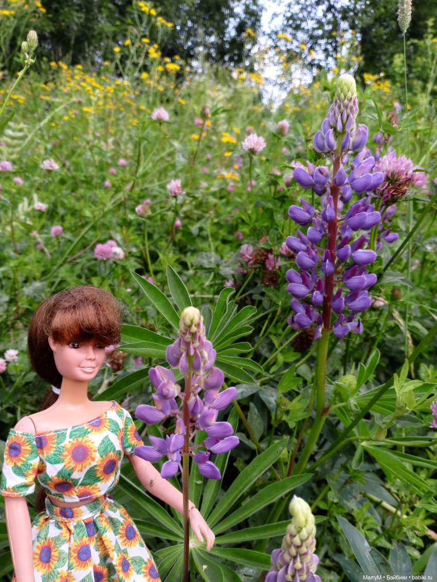 Две Кариночки — Аналоги Барби и куклы 1/6: клоны 90