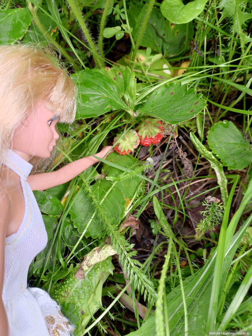 Две Кариночки — Аналоги Барби и куклы 1/6: клоны 90