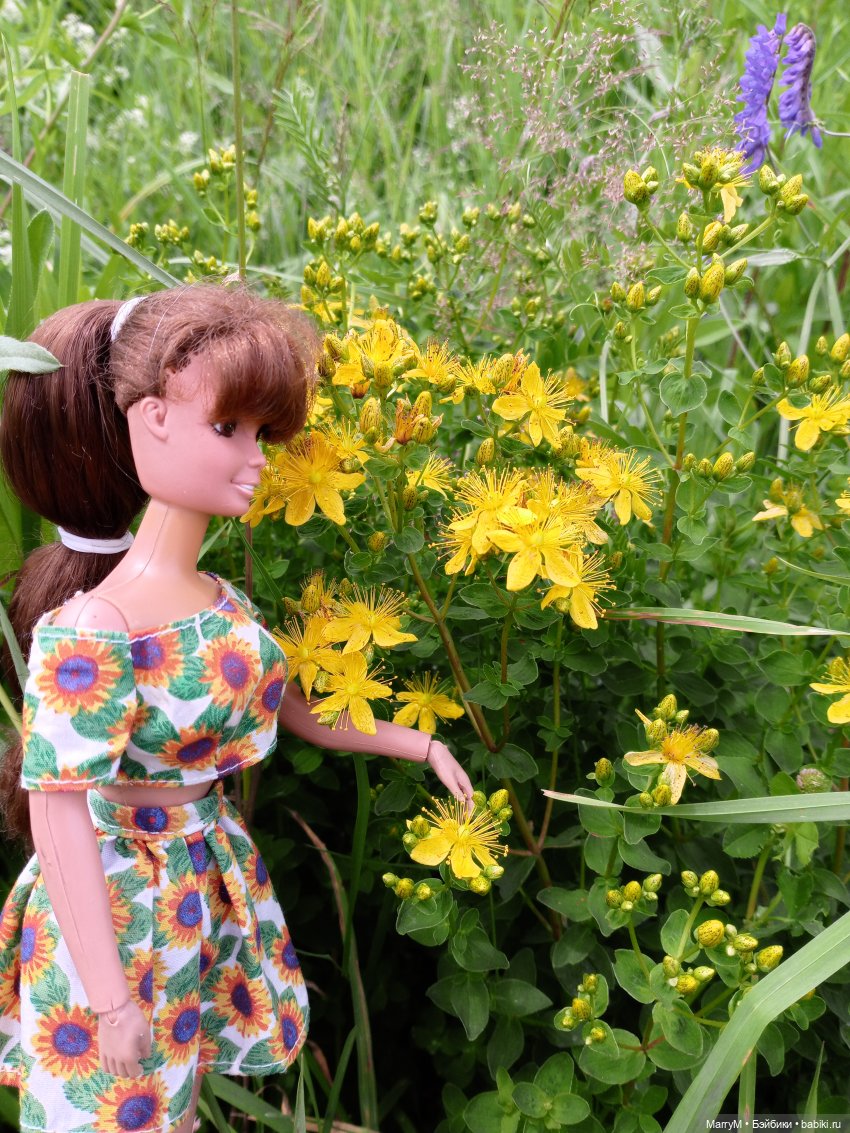 Две Кариночки — Аналоги Барби и куклы 1/6: клоны 90 (фото 7)