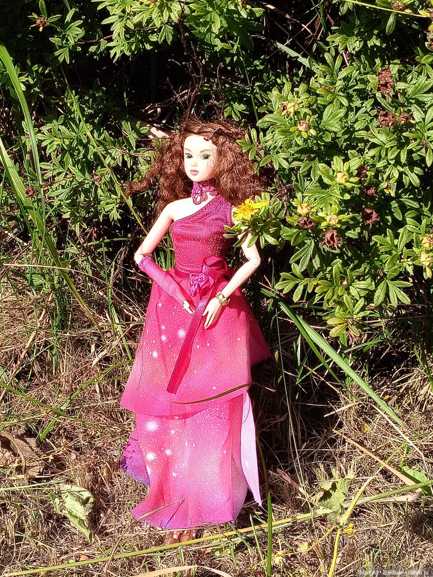 Момоко и Ликка — Куклы Takara Tomy (Такара): Licca (Ликка) (фото 6)