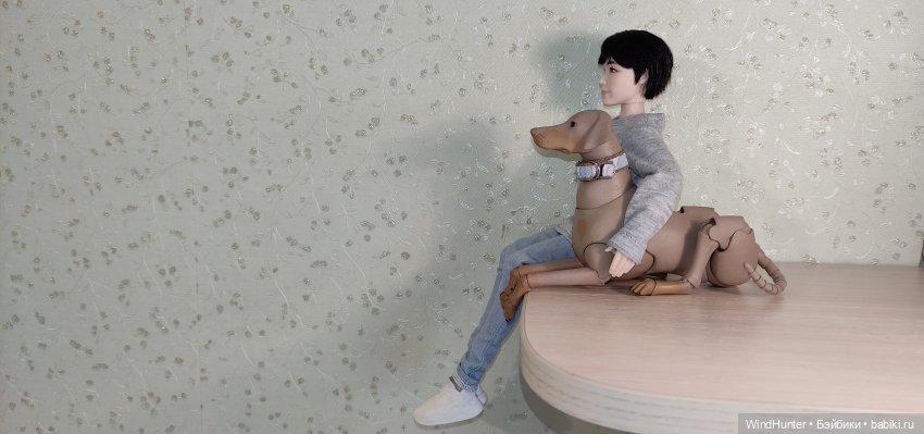 Хозяин для Хвасона — Куклы BTS (БТС) от Mattel: K (фото 6)