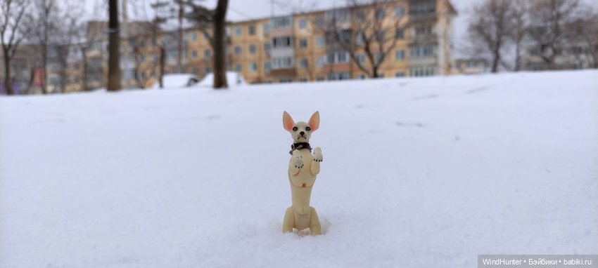 Это звонок ночной, это Снежок весной (фото 2)