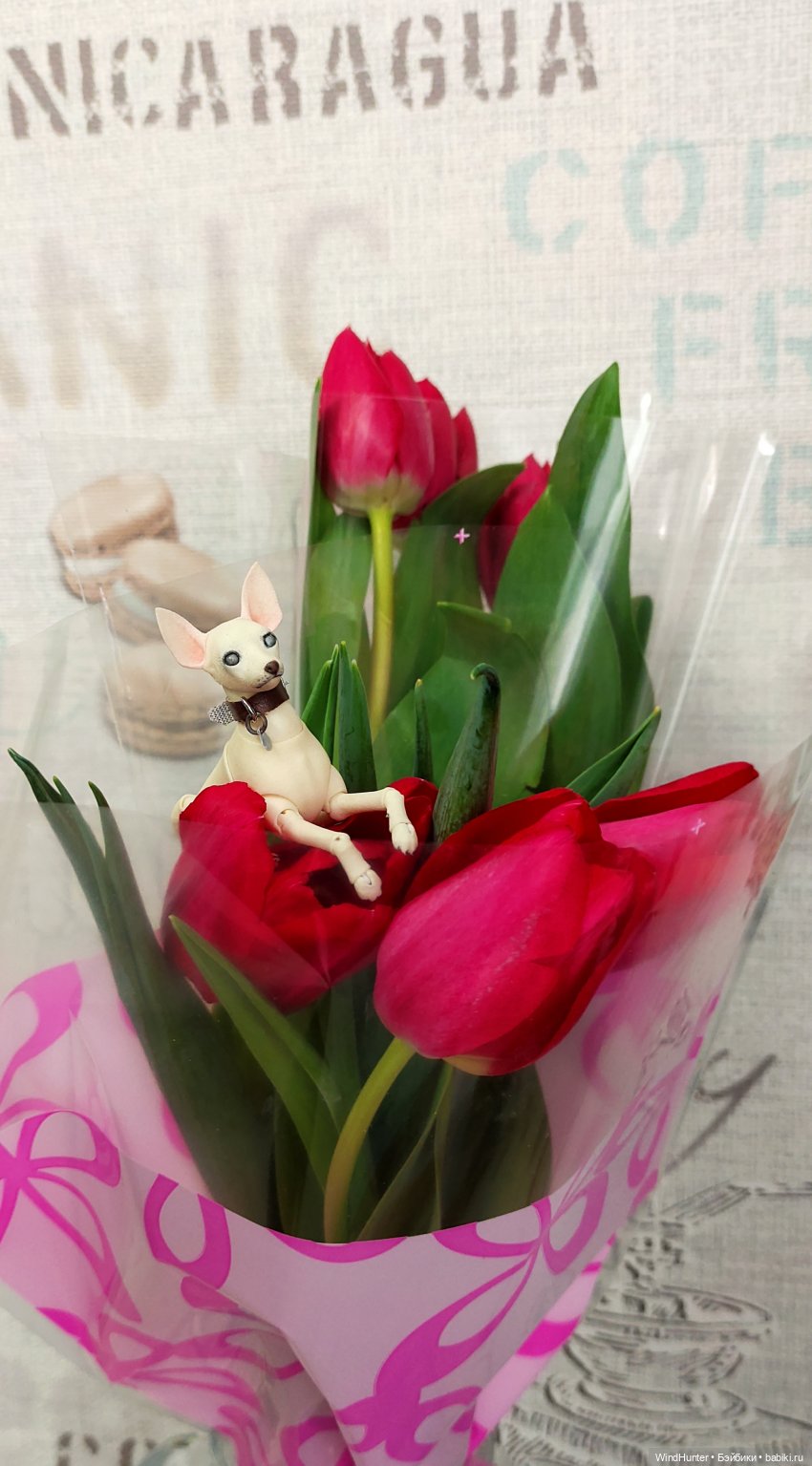 Это звонок ночной, это Снежок весной (фото 8)