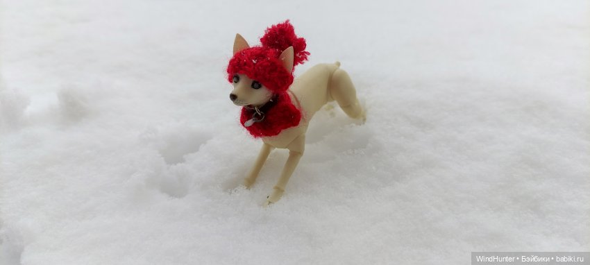 Это звонок ночной, это Снежок весной (фото 6)