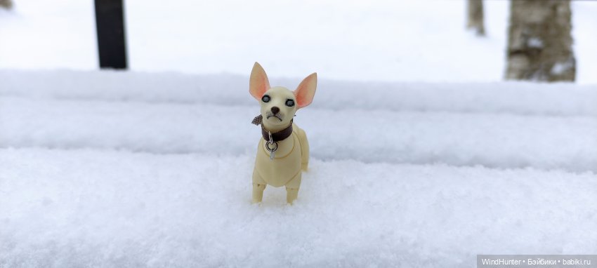 Это звонок ночной, это Снежок весной