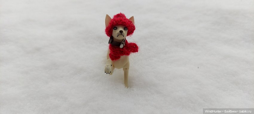 Это звонок ночной, это Снежок весной (фото 7)