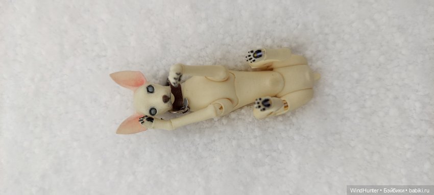 Это звонок ночной, это Снежок весной (фото 4)