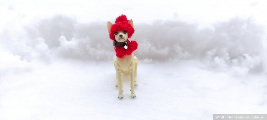 Это звонок ночной, это Снежок весной (фото 5)