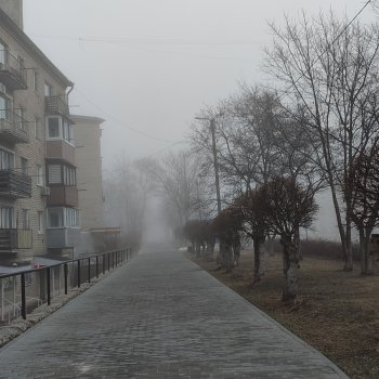 Туманное утро