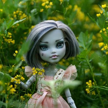 Фрэнки Штейн