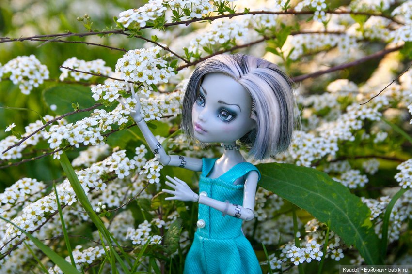 Фрэнки наслаждается весной (фото 2)