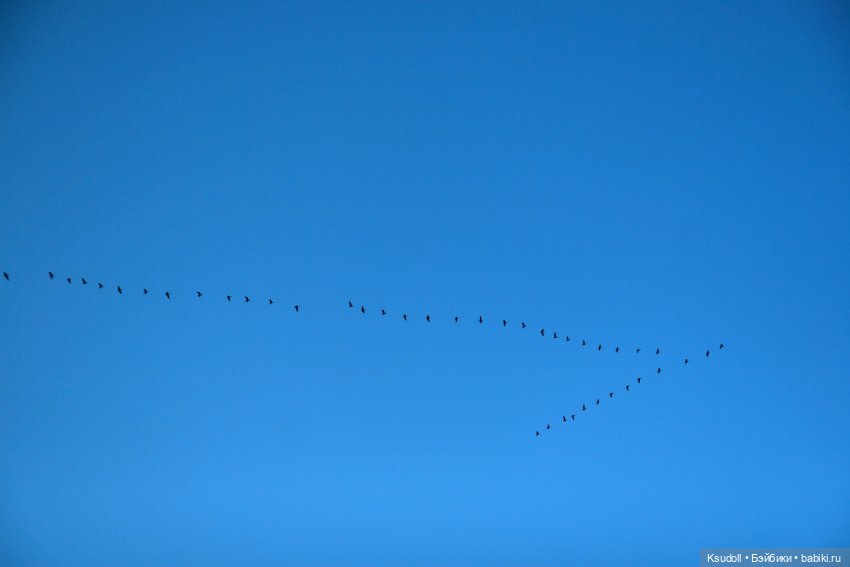 Любимая Карина — Куклы Paola Reina (Паола Рейна): новинки (фото 5)