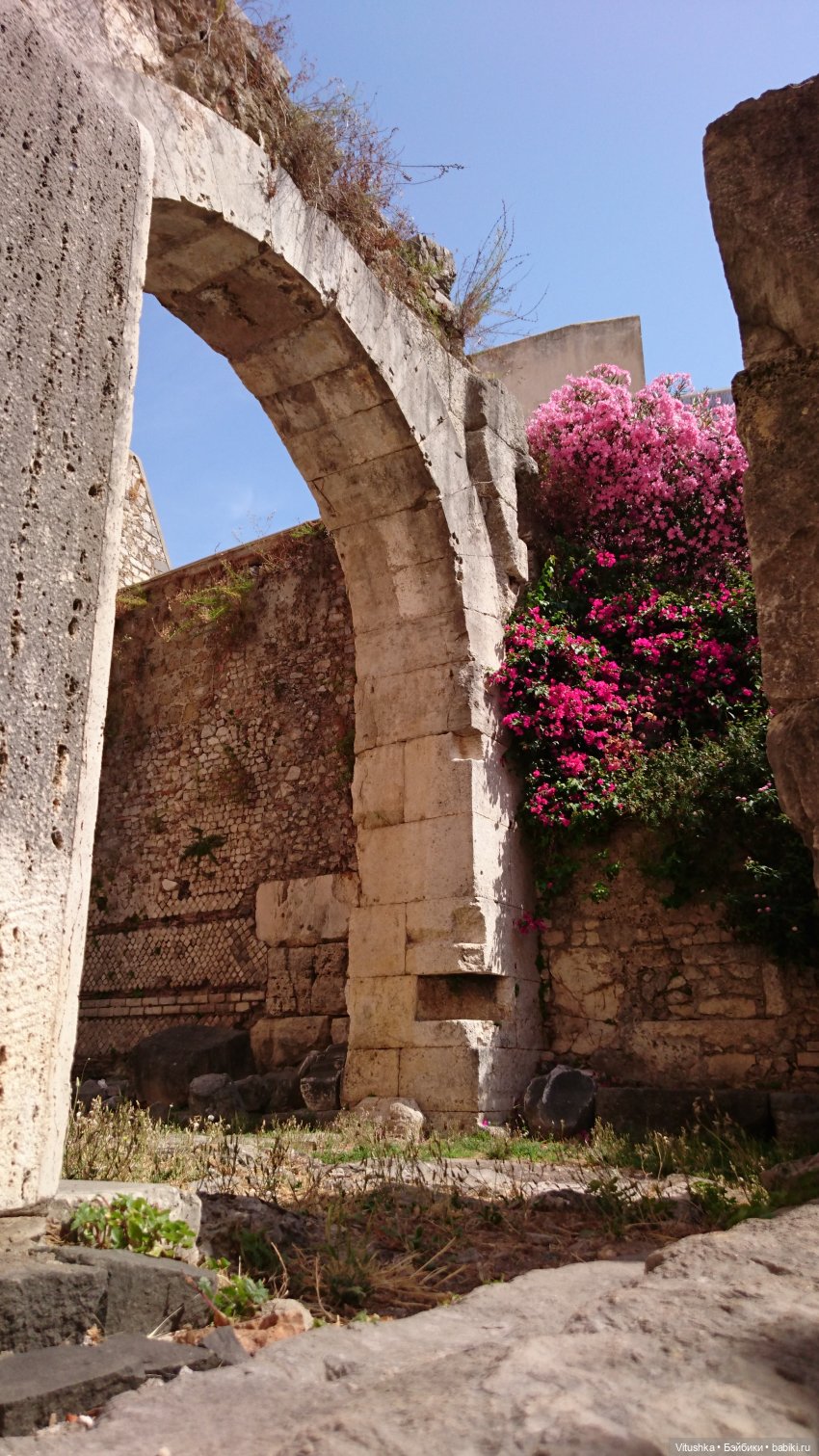 Ашт-Тенет — Аналоги Барби и куклы 1/6: клоны 90 (фото 2)