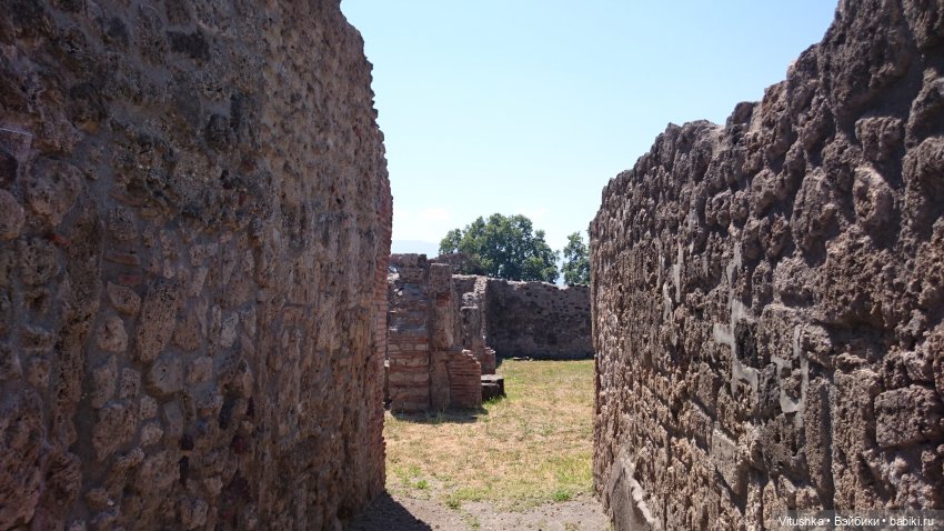 Ашт-Тенет — Аналоги Барби и куклы 1/6: клоны 90