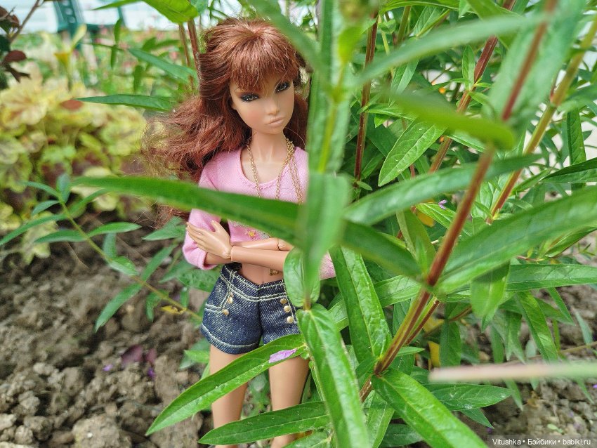 Ашт-Тенет — Аналоги Барби и куклы 1/6: клоны 90