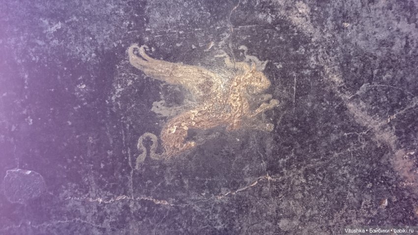 Ашт-Тенет — Аналоги Барби и куклы 1/6: клоны 90