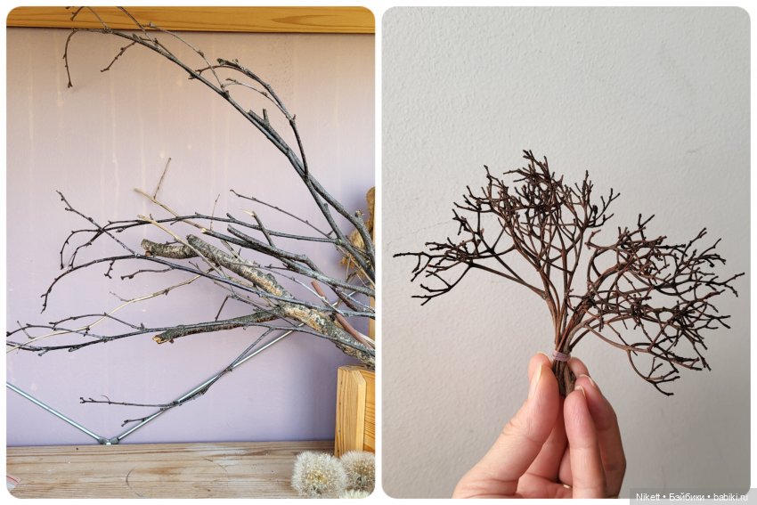 Как у наших у ворот Чудо-дерево растёт (фото 2)