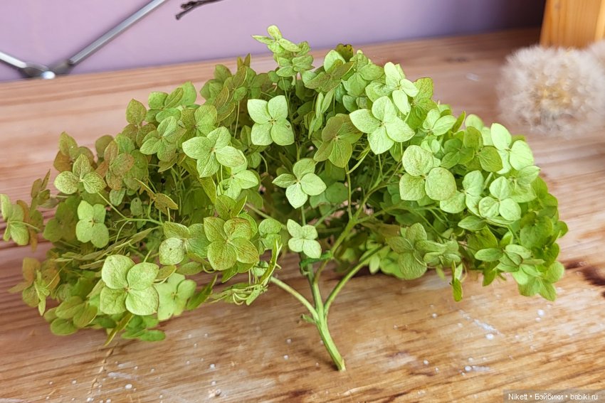 Как у наших у ворот Чудо-дерево растёт (фото 3)