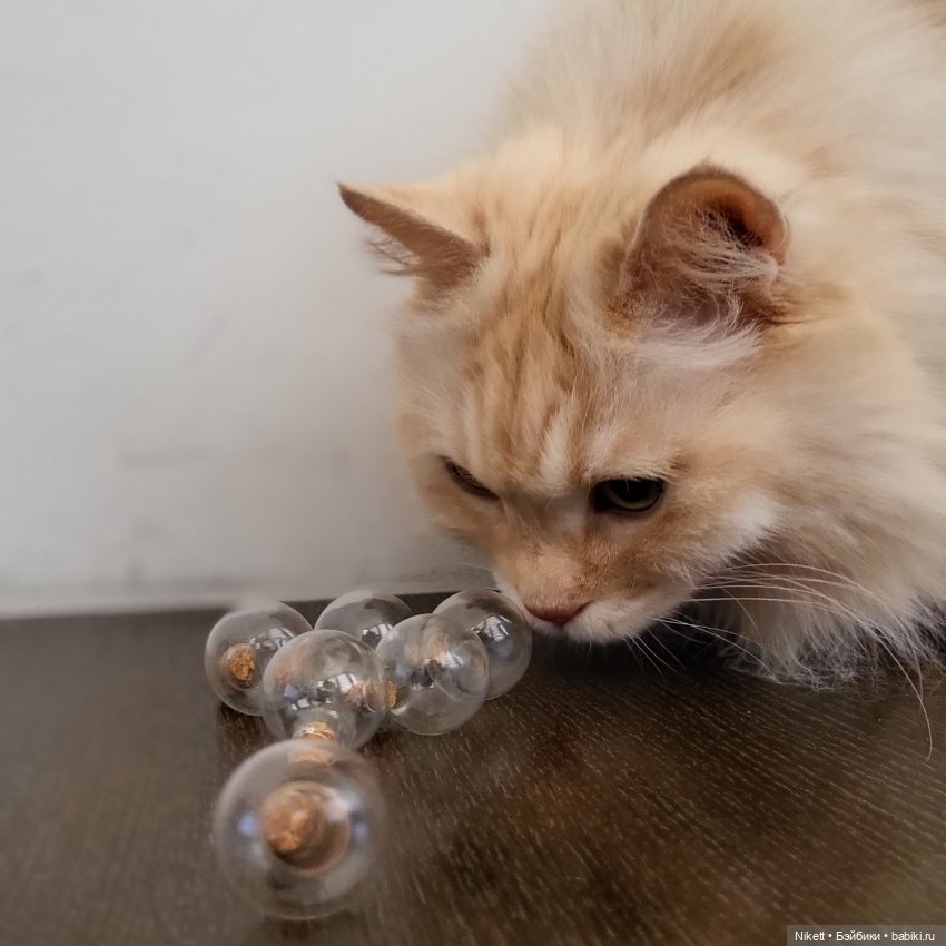 Магия вокруг нас — Кукольная миниатюра своими руками: еда