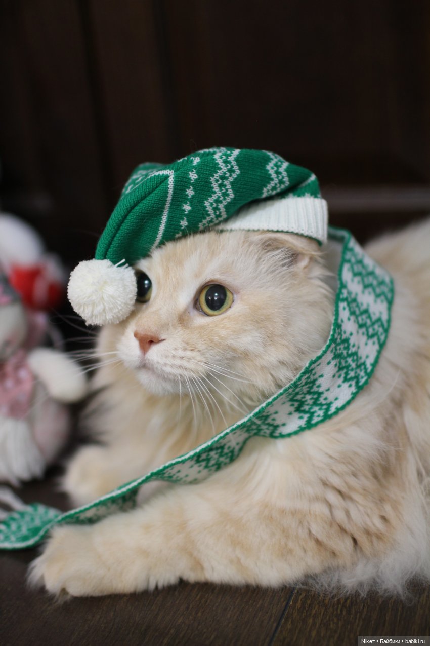 Время новогодних чудес — Румбоксы и кукольные интерьеры: фото