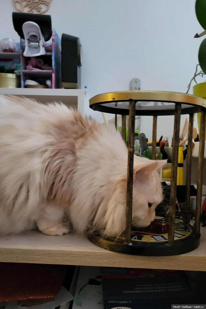 Замри мгновенье — Румбоксы и кукольные интерьеры: фото (фото 7)