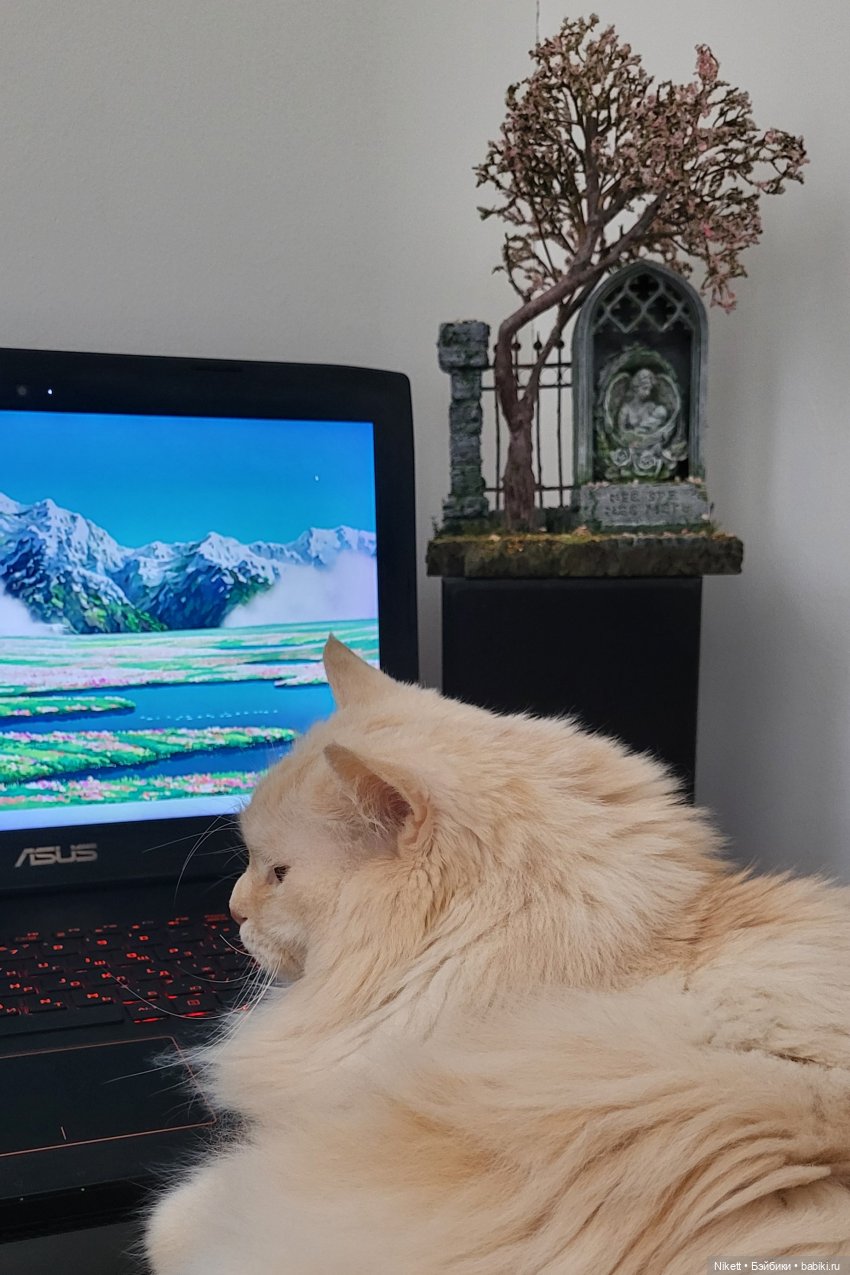 На прахе былого рождается будущее