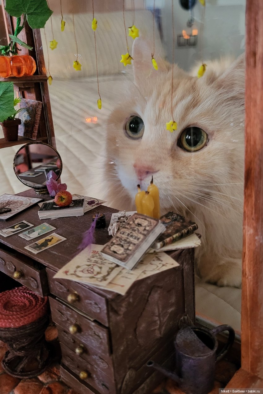 Тыквенное настроение — Румбоксы и кукольные интерьеры: фото