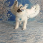 Розалина Цой